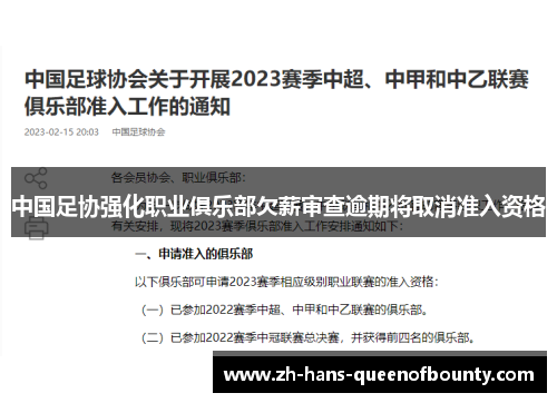 中国足协强化职业俱乐部欠薪审查逾期将取消准入资格 中国足协强化职业俱乐部欠薪审查逾期将取消准入资格