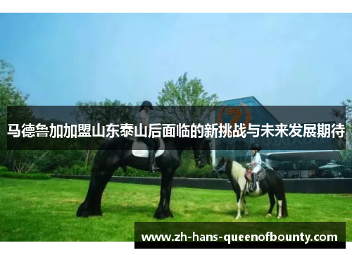 马德鲁加加盟山东泰山后面临的新挑战与未来发展期待