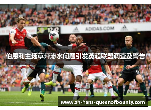 伯恩利主场草坪渗水问题引发英超联盟调查及警告 伯恩利主场草坪渗水问题引发英超联盟调查及警告